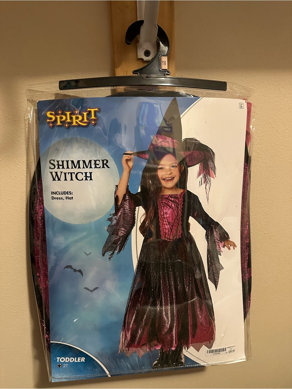 Spirit Shimmer Witch Toddler Costume - Black & Pink